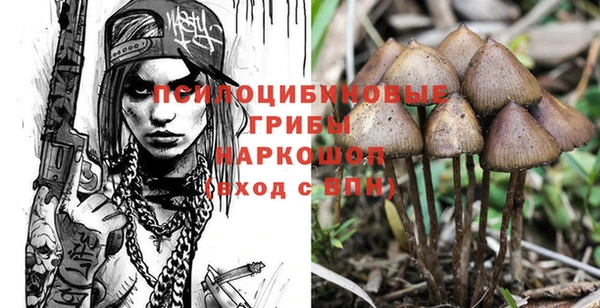 дмт Мегион