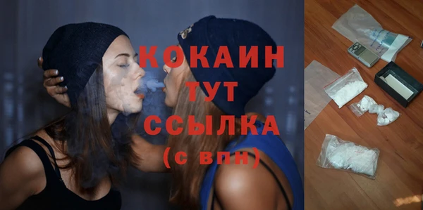 дмт Мегион