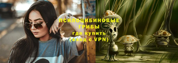 дмт Мегион